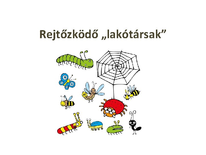 Rejtőzködő „lakótársak” 