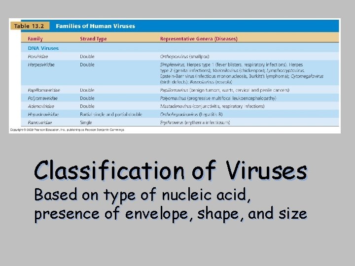 Classification of Viruses Based on type of nucleic acid, presence of envelope, shape, and