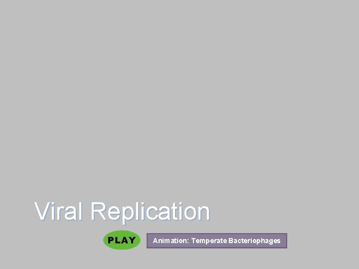 Viral Replication Animation: Temperate Bacteriophages 