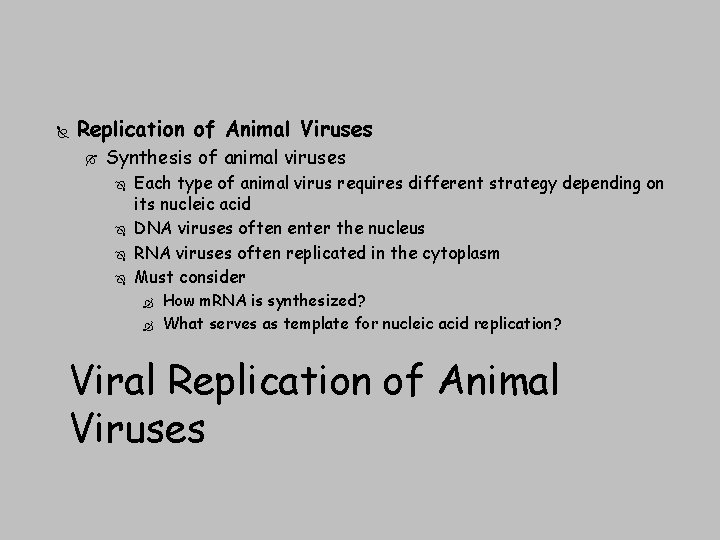  Replication of Animal Viruses Synthesis of animal viruses Each type of animal virus