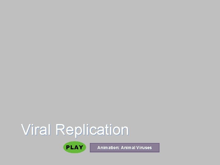 Viral Replication Animation: Animal Viruses 
