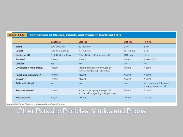 [INSERT TABLE 13. 5] Other Parasitic Particles: Viroids and Prions 