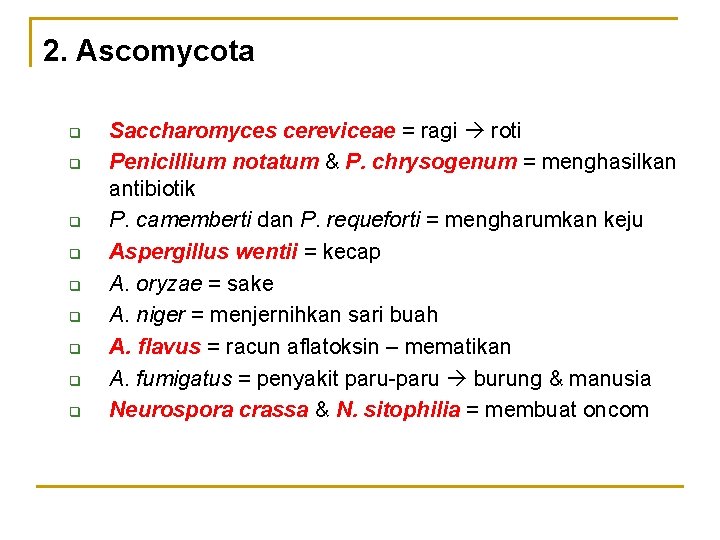 2. Ascomycota q q q q q Saccharomyces cereviceae = ragi roti Penicillium notatum 2. Ascomycota q q q q q Saccharomyces cereviceae = ragi roti Penicillium notatum