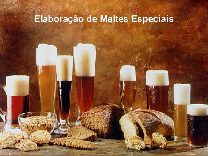 Elaboração de Maltes Especiais 