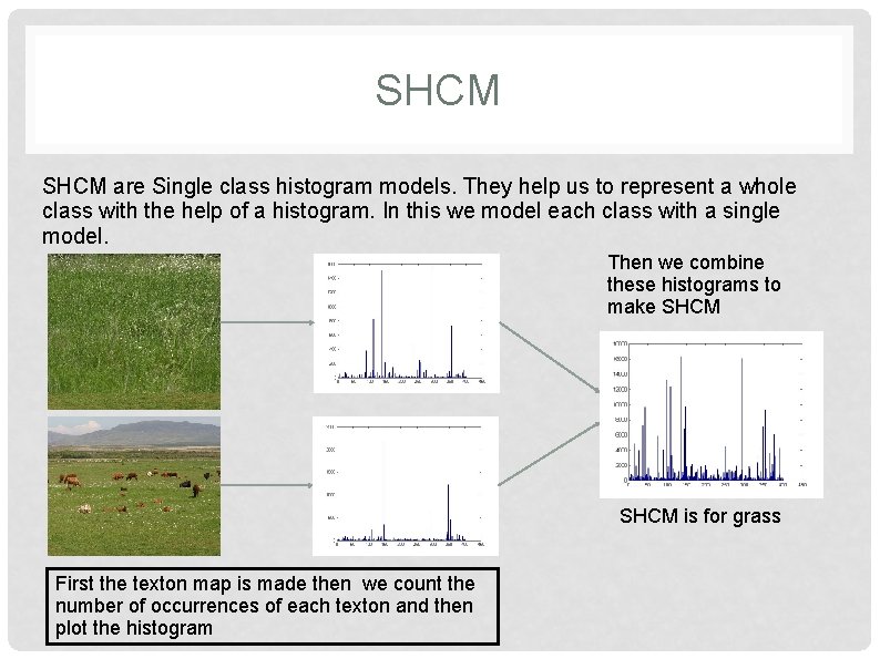 SHCM are Single class histogram models. They help us to represent a whole class SHCM are Single class histogram models. They help us to represent a whole class