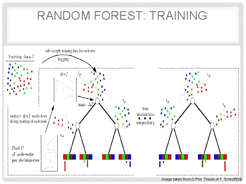 RANDOM FOREST: TRAINING Image taken from D. Phil. Thesis of F. Schroff[09] 