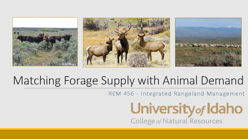 K. Launchbaugh NPS. gov K. Launchbaugh Matching Forage Supply with Animal Demand REM 456