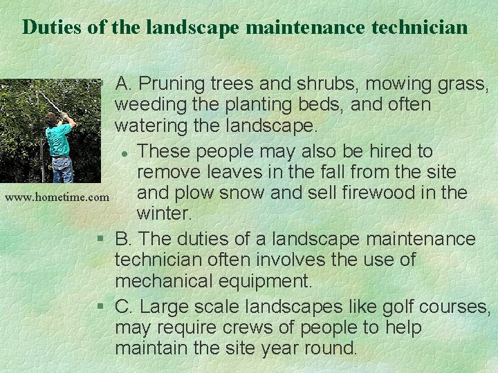 Duties of the landscape maintenance technician § A. Pruning trees and shrubs, mowing grass,