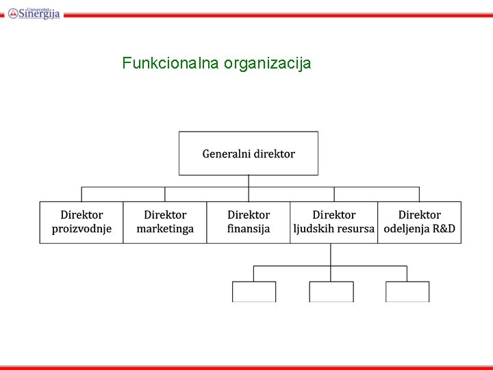 Funkcionalna organizacija 