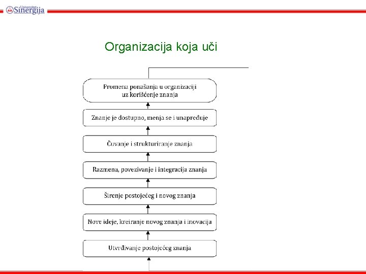 Organizacija koja uči 