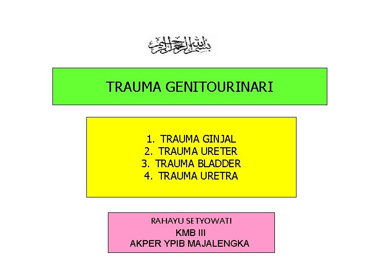 TRAUMA GENITOURINARI 1. TRAUMA GINJAL 2. TRAUMA URETER 3. TRAUMA BLADDER 4. TRAUMA URETRA