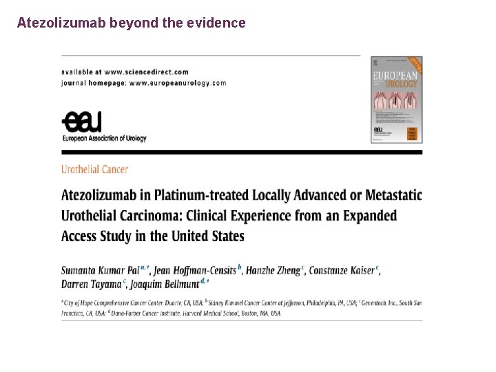 Atezolizumab beyond the evidence 