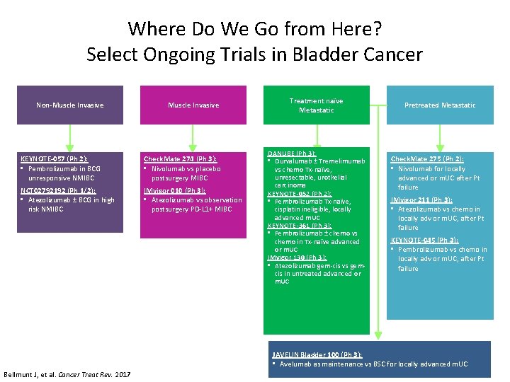 Where Do We Go from Here? Select Ongoing Trials in Bladder Cancer Non-Muscle Invasive