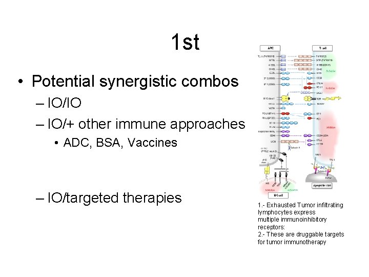 1 st • Potential synergistic combos – IO/IO – IO/+ other immune approaches •