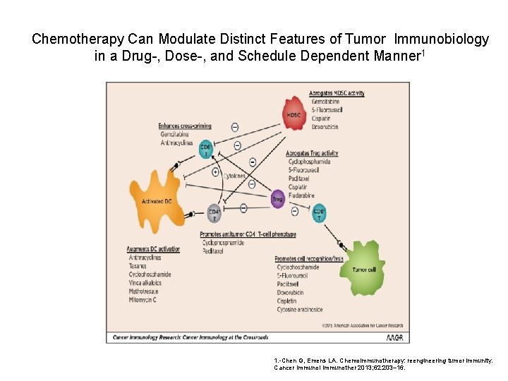 Chemotherapy Can Modulate Distinct Features of Tumor Immunobiology in a Drug-, Dose-, and Schedule
