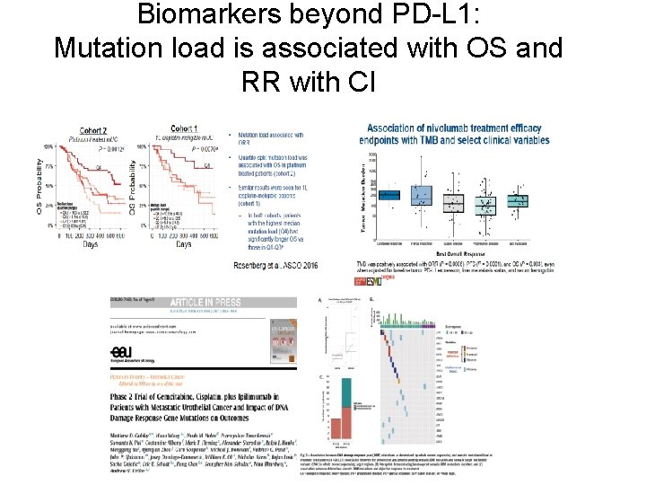 Biomarkers beyond PD-L 1: Mutation load is associated with OS and RR with CI