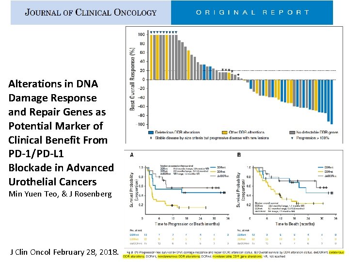 Alterations in DNA Damage Response and Repair Genes as Potential Marker of Clinical Benefit