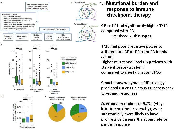 1. - Mutational burden and response to immune checkpoint therapy CR or PR had