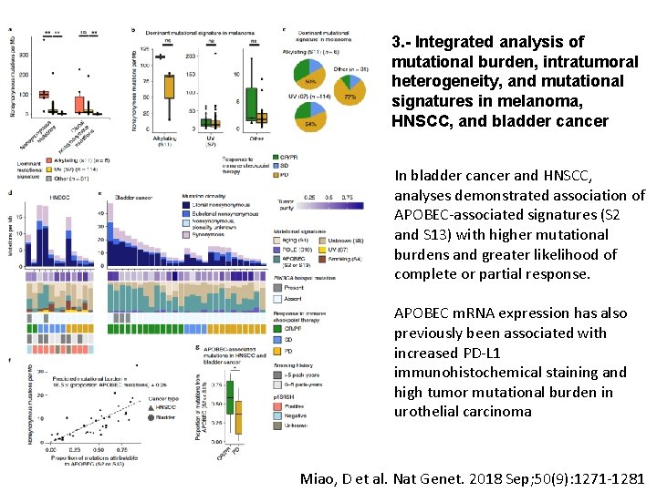 3. - Integrated analysis of mutational burden, intratumoral heterogeneity, and mutational signatures in melanoma,