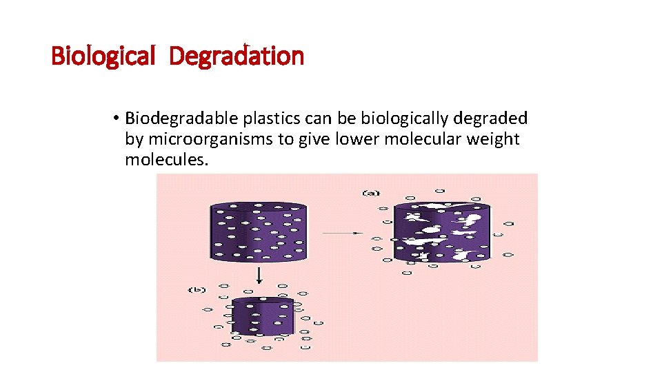 Biological Degradation • Biodegradable plastics can be biologically degraded by microorganisms to give lower