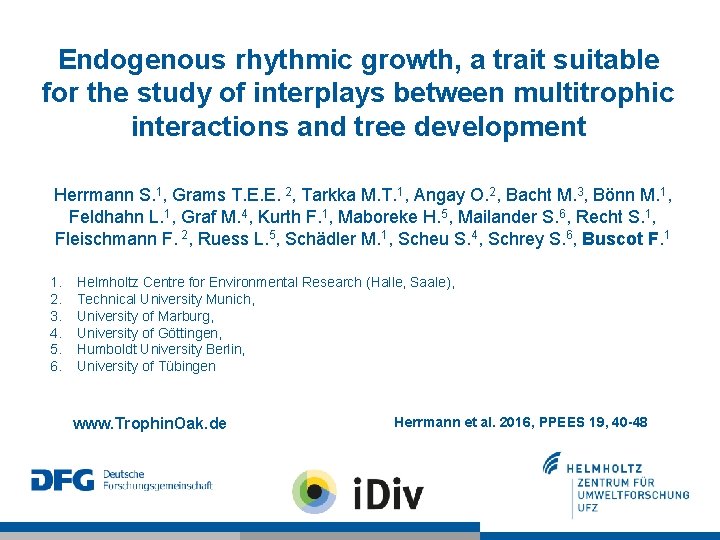 Endogenous rhythmic growth, a trait suitable for the study of interplays between multitrophic interactions