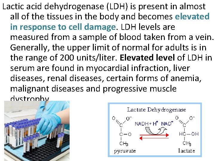 Lactic acid dehydrogenase (LDH) is present in almost all of the tissues in the