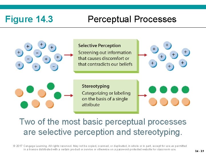 Figure 14. 3 Perceptual Processes Two of the most basic perceptual processes are selective