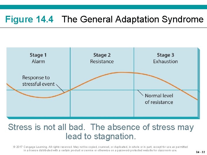 Figure 14. 4 The General Adaptation Syndrome Stress is not all bad. The absence