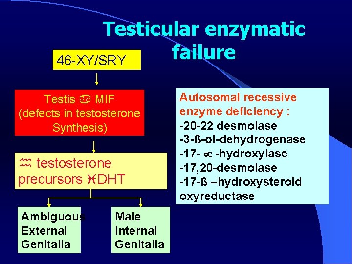 Testicular enzymatic failure 46 -XY/SRY Testis MIF (defects in testosterone Synthesis) testosterone precursors DHT