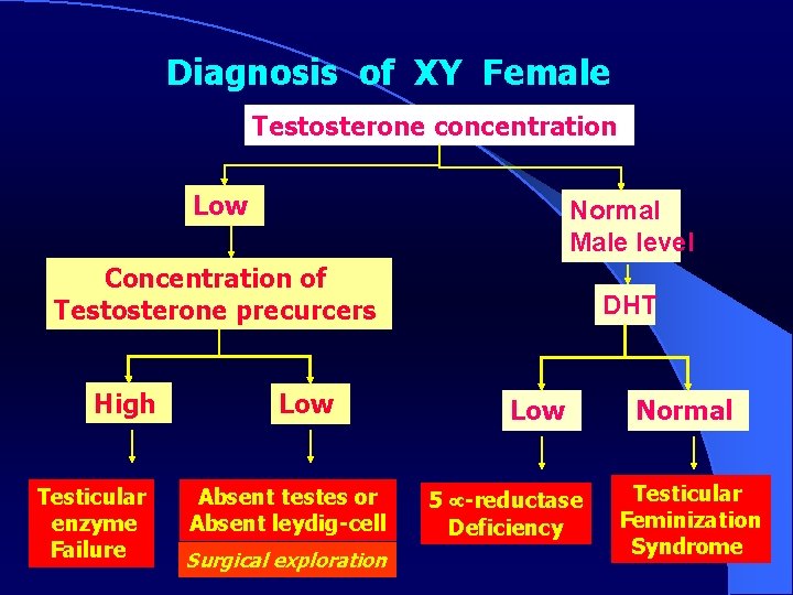 Diagnosis of XY Female Testosterone concentration Low Normal Male level Concentration of Testosterone precurcers