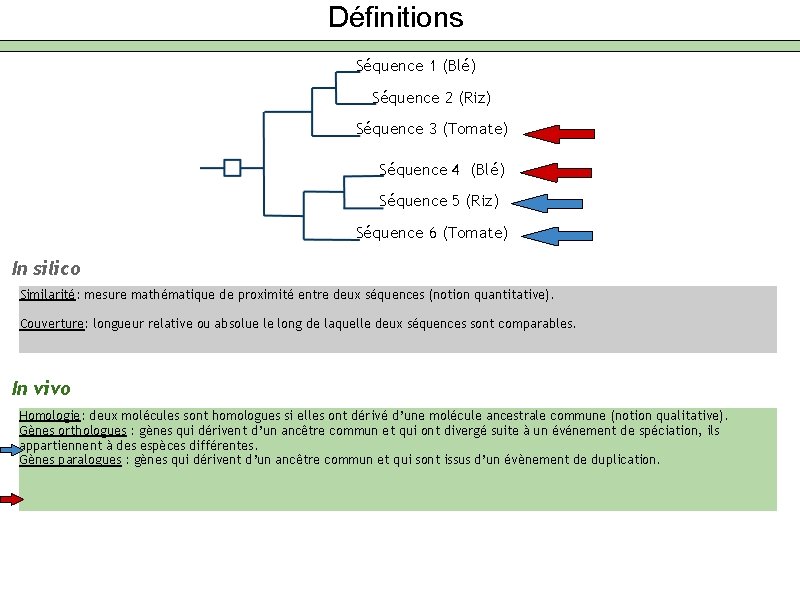 Définitions Séquence 1 (Blé) Séquence 2 (Riz) Séquence 3 (Tomate) Séquence 4 (Blé) Séquence