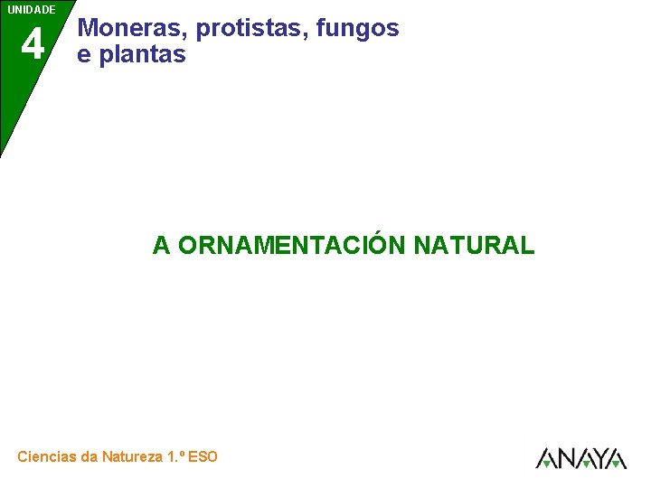 UNIDADE 4 Moneras, protistas, fungos e plantas A ORNAMENTACIÓN NATURAL Ciencias da Natureza 1.