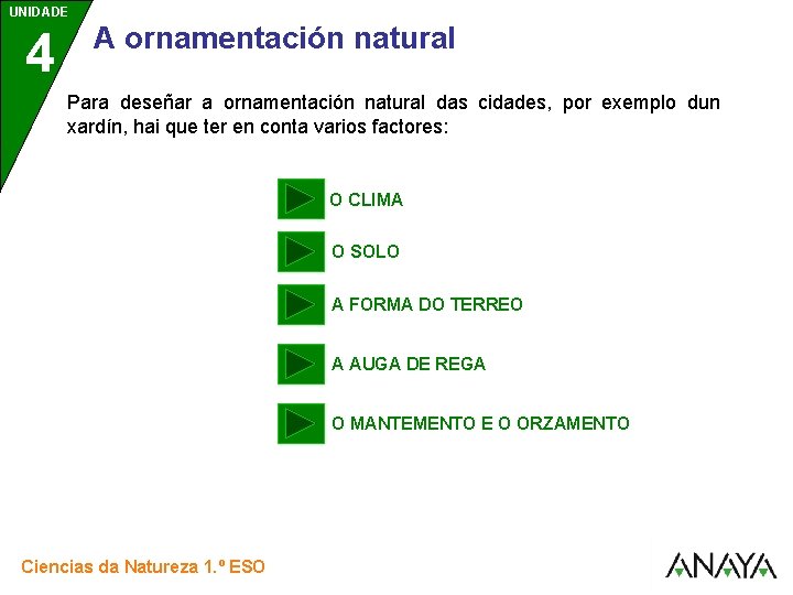 UNIDADE UNIDAD E 4 3 A ornamentación natural Para deseñar a ornamentación natural das