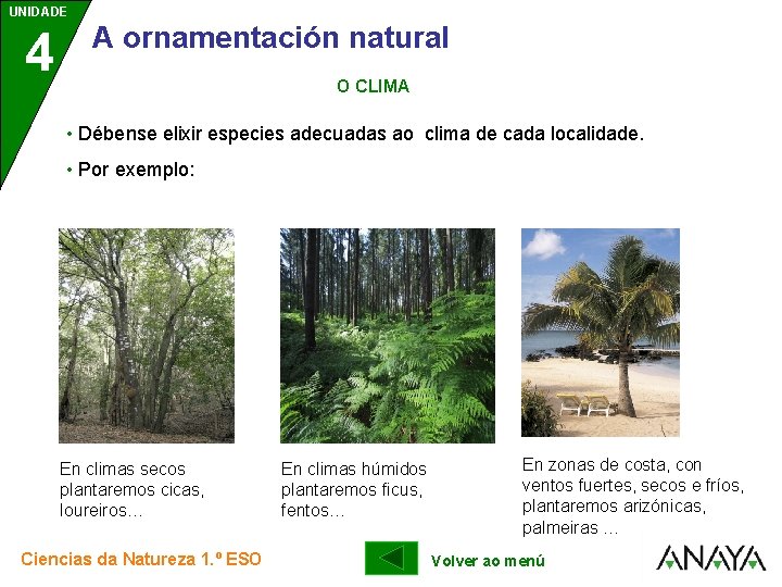 UNIDADE UNIDAD E 4 3 A ornamentación natural O CLIMA • Débense elixir especies