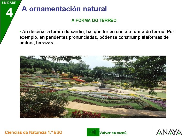 UNIDADE UNIDAD E 4 3 A ornamentación natural A FORMA DO TERREO • Ao