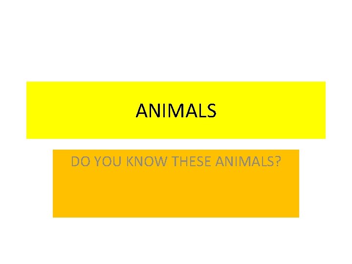 ANIMALS DO YOU KNOW THESE ANIMALS? 