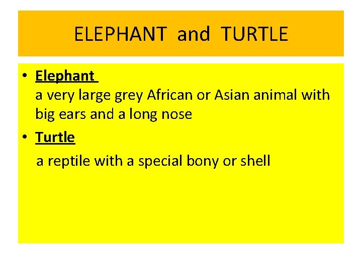 ELEPHANT and TURTLE • Elephant a very large grey African or Asian animal with