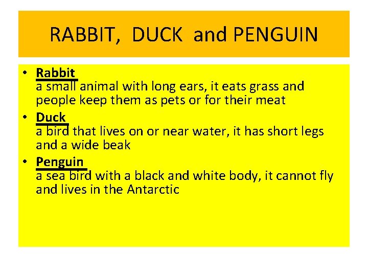 RABBIT, DUCK and PENGUIN • Rabbit a small animal with long ears, it eats