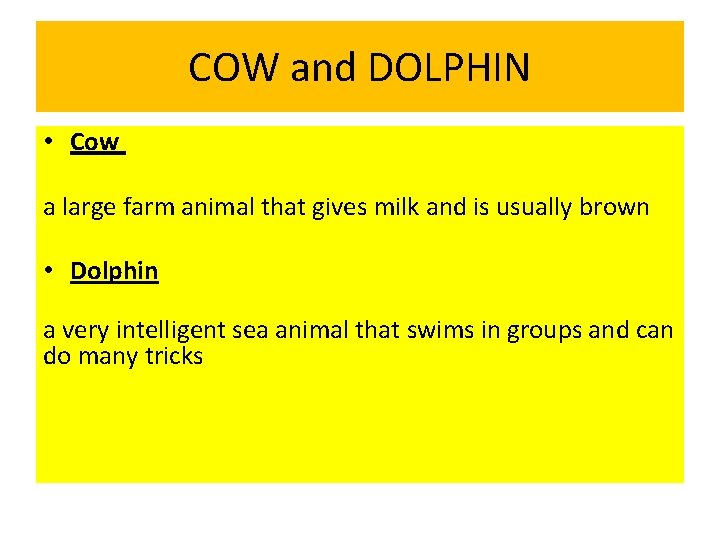 COW and DOLPHIN • Cow a large farm animal that gives milk and is