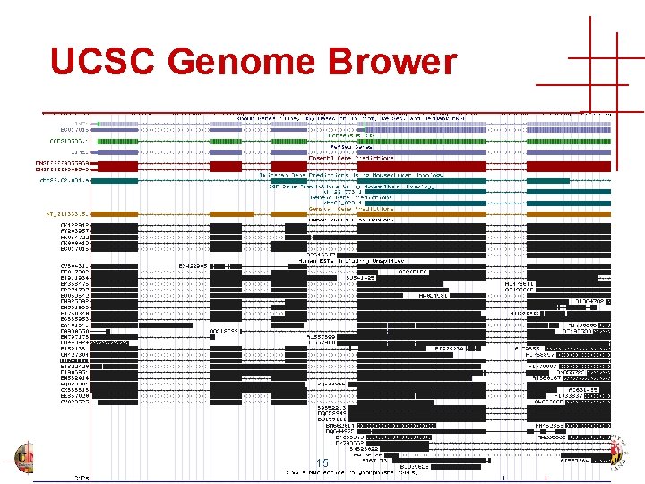 UCSC Genome Brower 15 