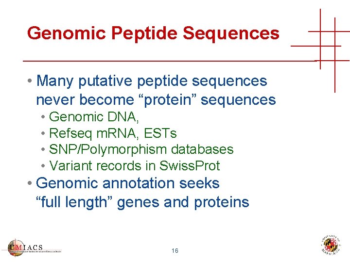Genomic Peptide Sequences • Many putative peptide sequences never become “protein” sequences • Genomic