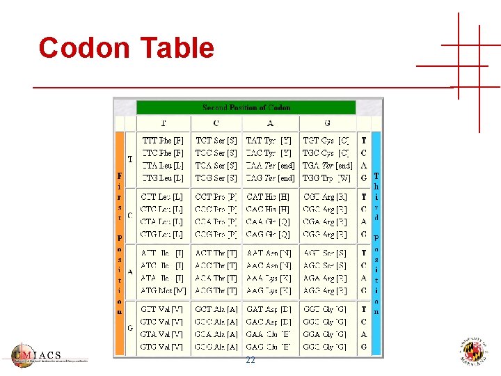 Codon Table 22 