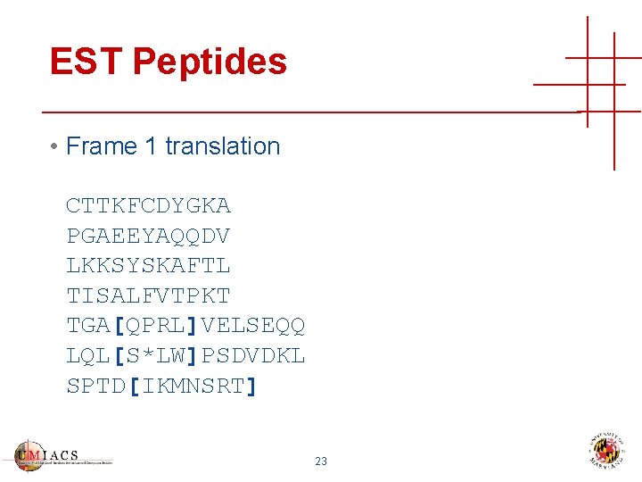 EST Peptides • Frame 1 translation CTTKFCDYGKA PGAEEYAQQDV LKKSYSKAFTL TISALFVTPKT TGA[QPRL]VELSEQQ LQL[S*LW]PSDVDKL SPTD[IKMNSRT] 23