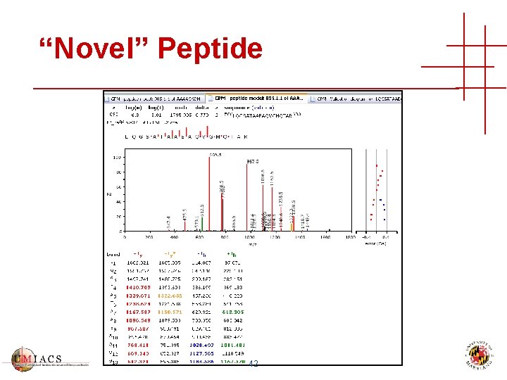 “Novel” Peptide 42 