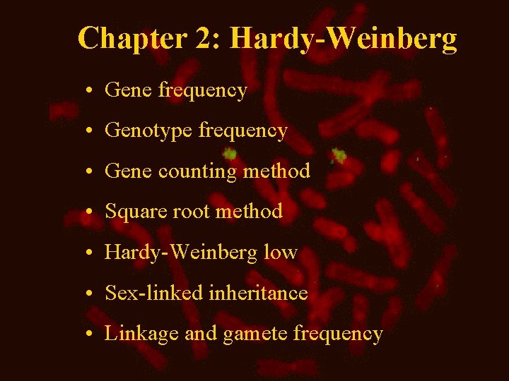 Chapter 2: Hardy-Weinberg • Gene frequency • Genotype frequency • Gene counting method •