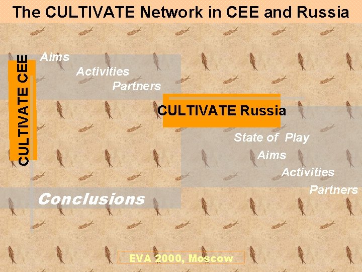 CULTIVATE CEE The CULTIVATE Network in CEE and Russia Aims Activities Partners CULTIVATE Russia