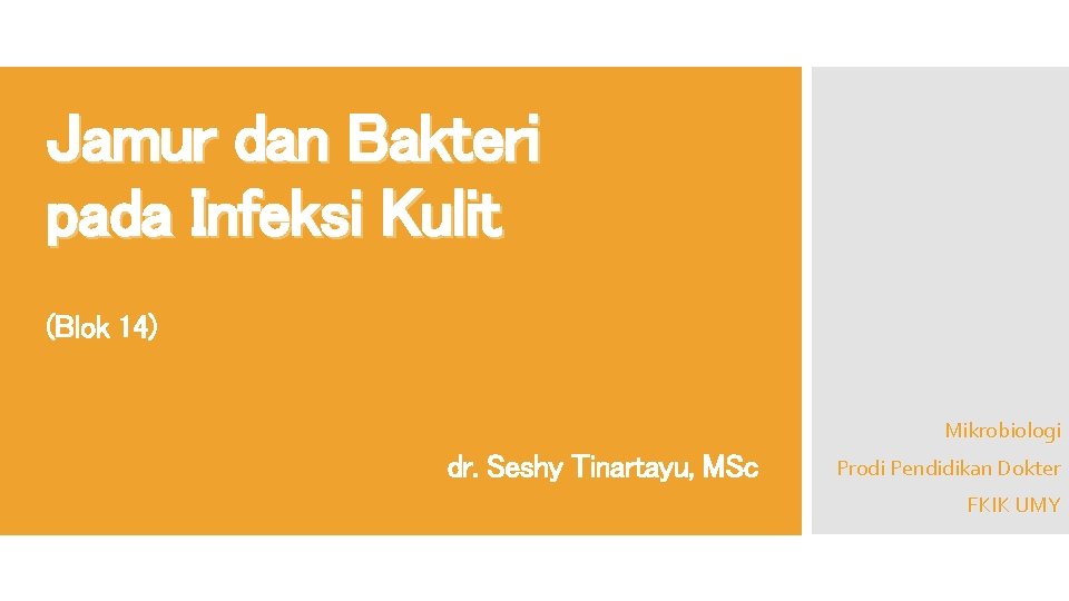 Jamur dan Bakteri pada Infeksi Kulit (Blok 14) Mikrobiologi dr. Seshy Tinartayu, MSc Prodi