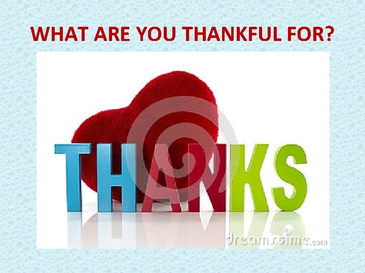 WHAT ARE YOU THANKFUL FOR? 