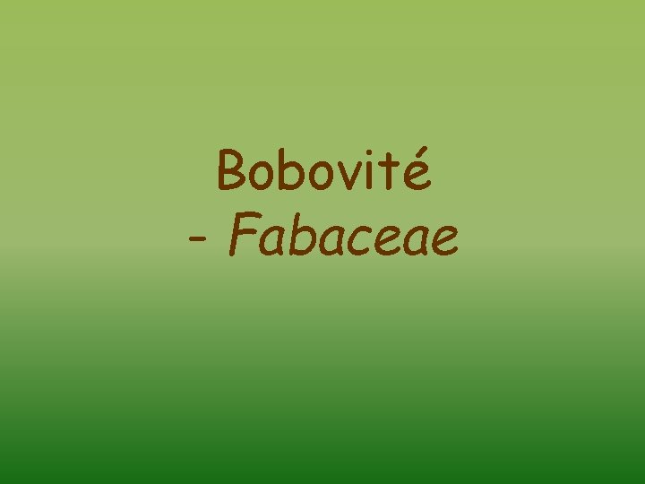 Bobovité - Fabaceae 