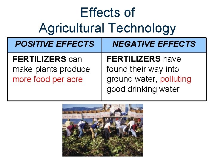 Effects of Agricultural Technology POSITIVE EFFECTS FERTILIZERS can make plants produce more food per